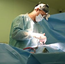 Периареолярная пластика молочной железы: особенности вмешательства