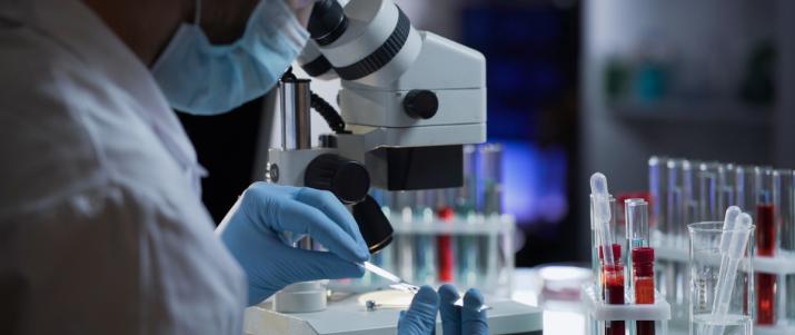 Тест на пищевую непереносимость