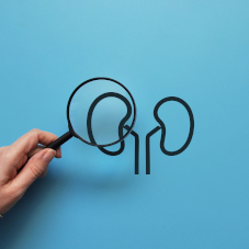 При какие изменениях в анализах необходима консультация нефролога