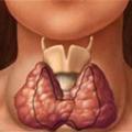 Аутоиммунный тиреоидит: особенности заболевания щитовидной железы