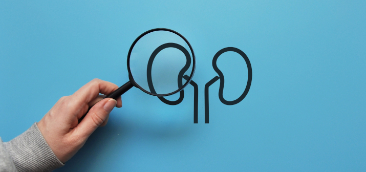 При какие изменениях в анализах необходима консультация нефролога