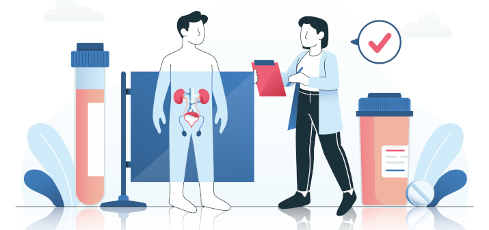 Роль тестостерона в организме человека