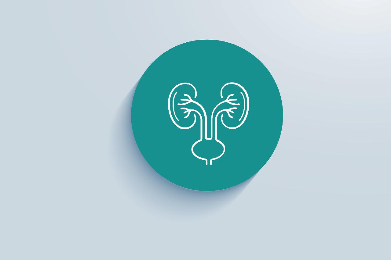 Нефрэктомия