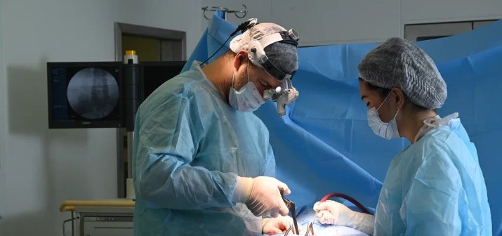 Удаление почки у взрослых, необходимо ли наблюдение у нефролога