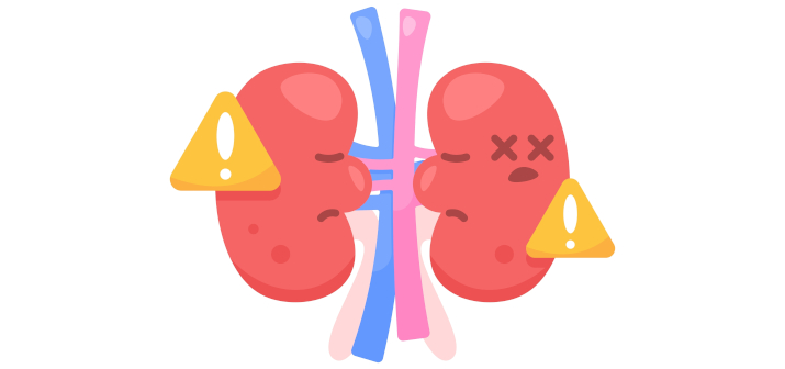 Кисты почек, диагностика и лечение