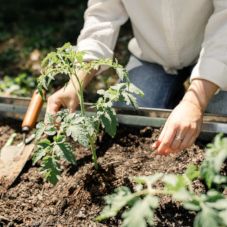 Названы самые распространенные травмы на даче
