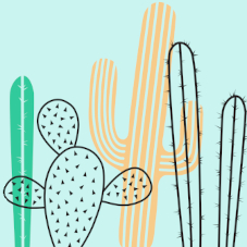 Анальные трещины: причины, симптомы и лечение