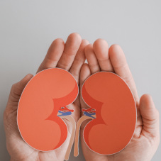 Nephro Check Up. Оценка состояния мочевыделительной системы (скрининг)
