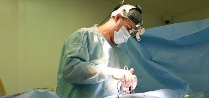 Визуализация раздела Периареолярная пластика молочной железы: особенности вмешательства