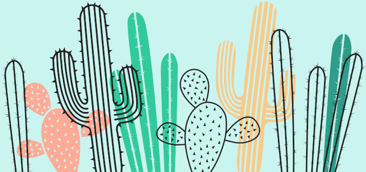 Лечение геморроя. Центр проктологии в Москве