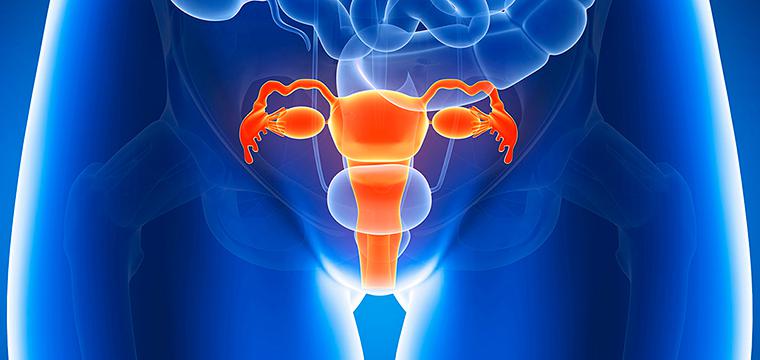 Доброкачественные и злокачественные опухоли женских половых органов