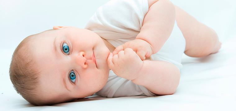Визуализация раздела Стимуляция овуляции
