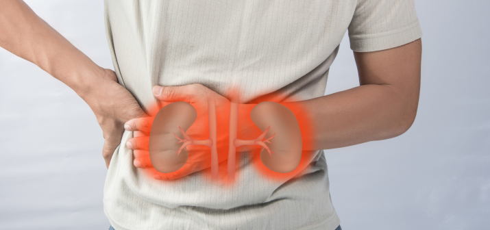 Реноваскулярная гипертензия: причины, лечение