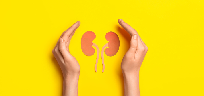 Отеки, когда их причина в заболевании почек. Особенности почечных отеков